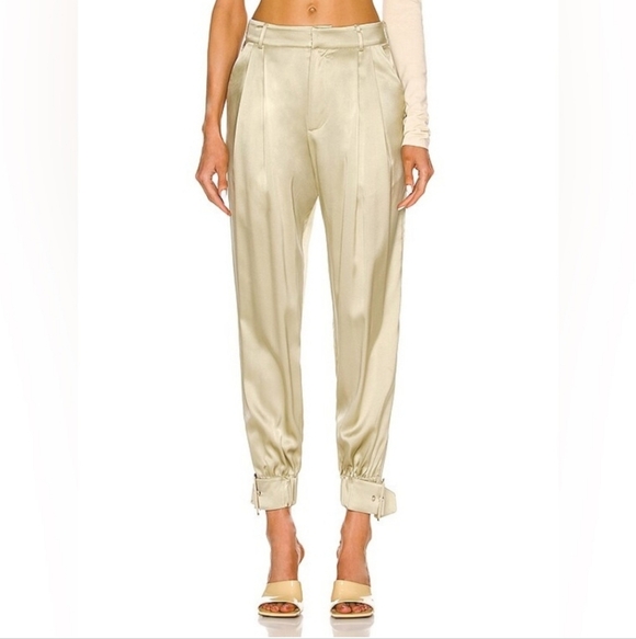 Retrofete Pants - Retrofete Rocky Silk Pant in Sage Green Women’s Size Small Pleated High-Rise